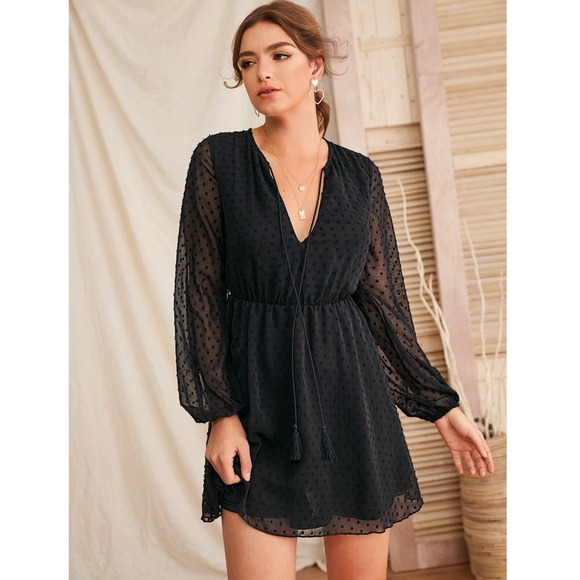 Tassel Ties Black Swiss Dot Sheer Mini Dress - Picture 3 of 7